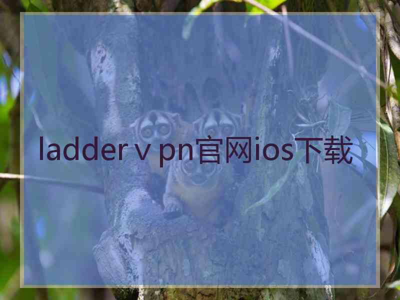 ladderⅴpn官网ios下载