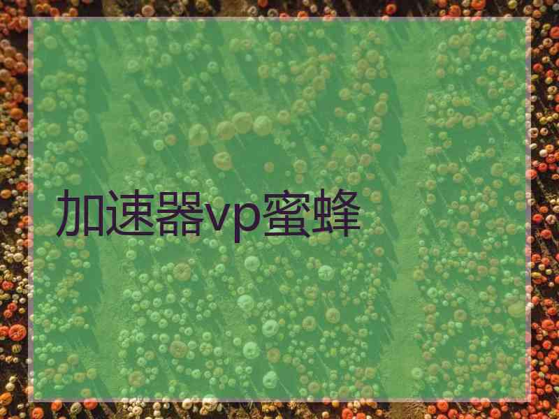 加速器vp蜜蜂