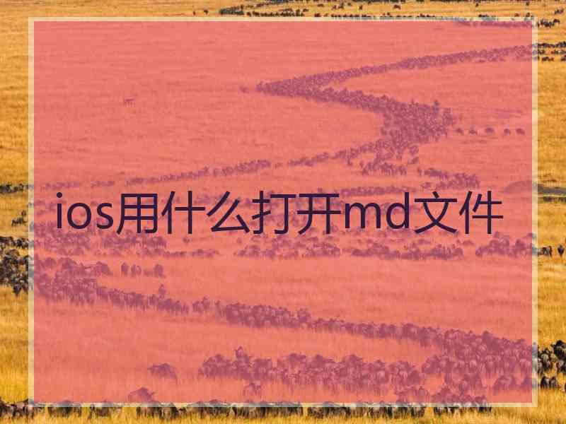 ios用什么打开md文件