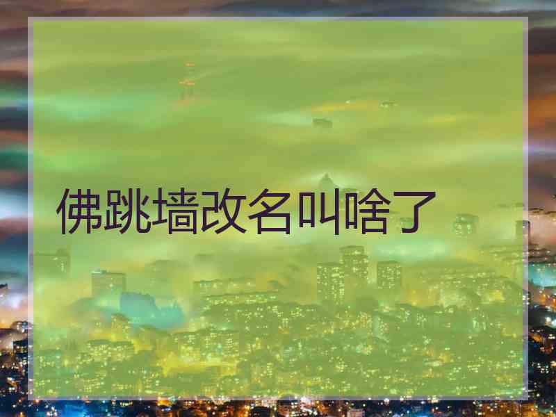 佛跳墙改名叫啥了