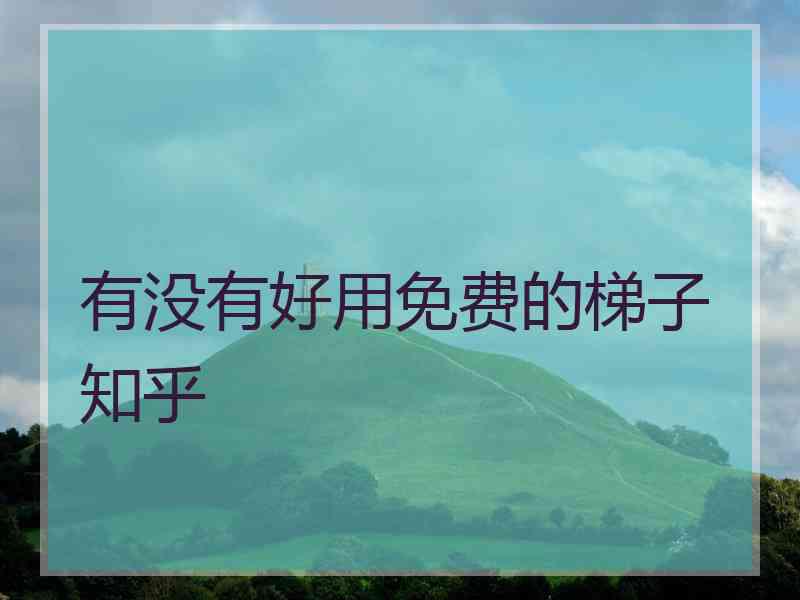 有没有好用免费的梯子 知乎