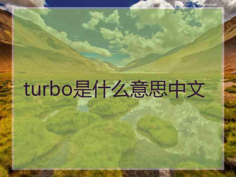 turbo是什么意思中文