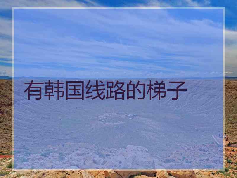 有韩国线路的梯子