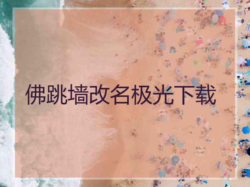 佛跳墙改名极光下载