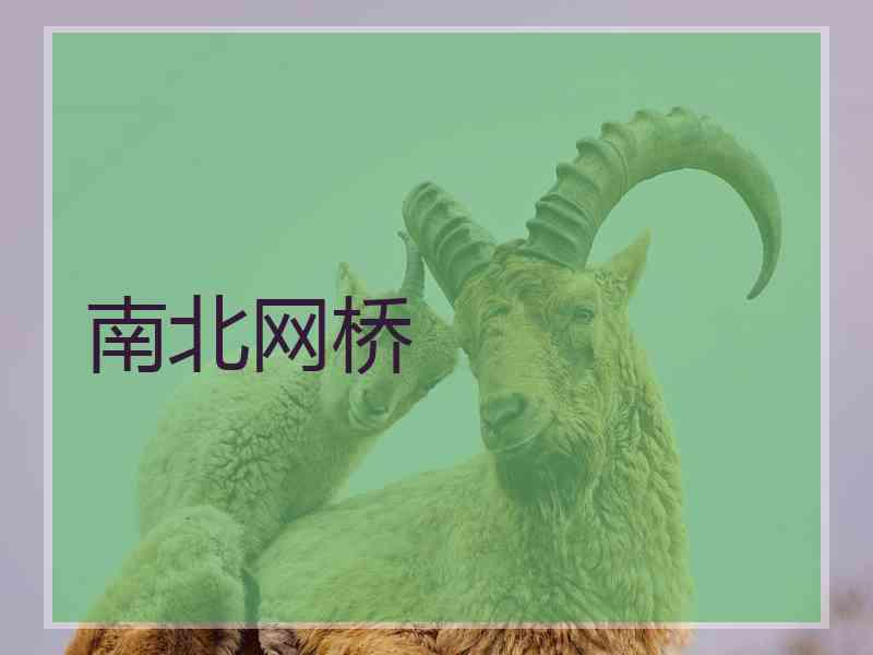 南北网桥