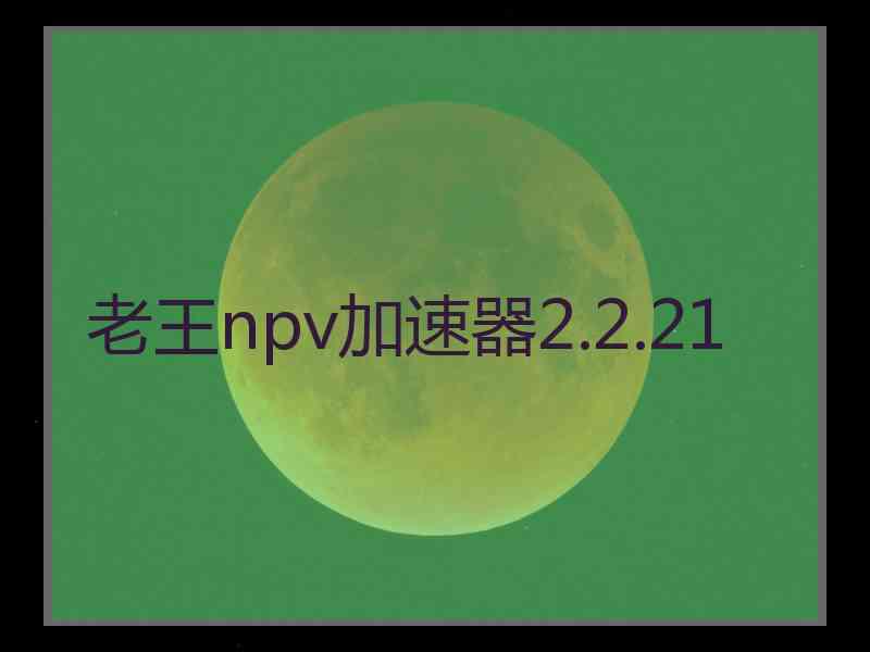 老王npv加速器2.2.21