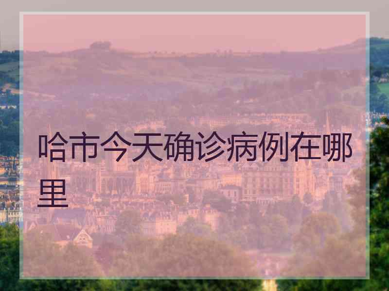 哈市今天确诊病例在哪里