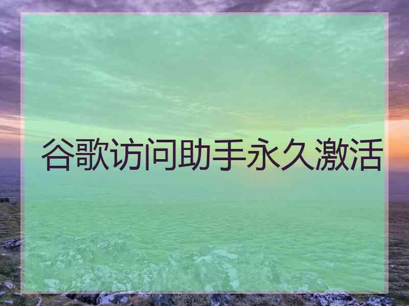 谷歌访问助手永久激活