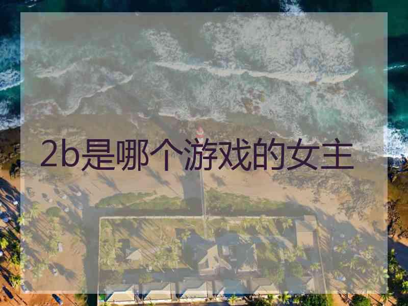 2b是哪个游戏的女主