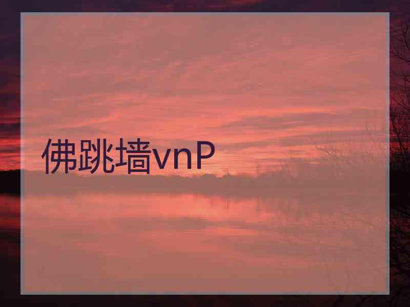 佛跳墙vnP