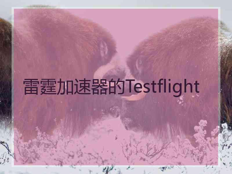 雷霆加速器的Testflight