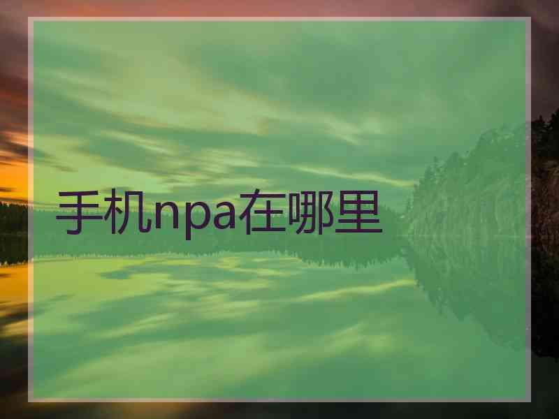 手机npa在哪里