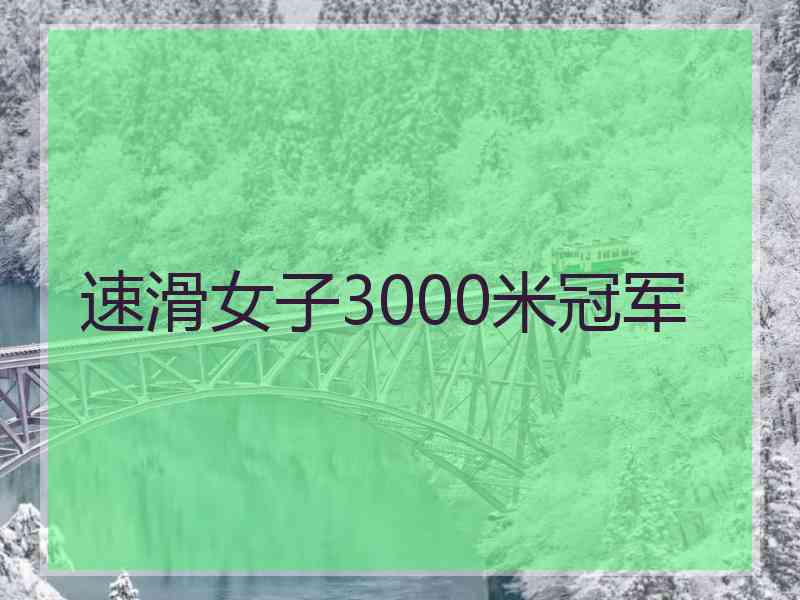 速滑女子3000米冠军