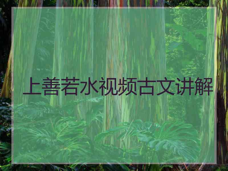 上善若水视频古文讲解