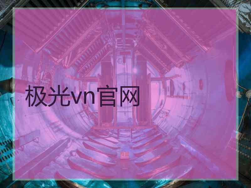 极光vn官网