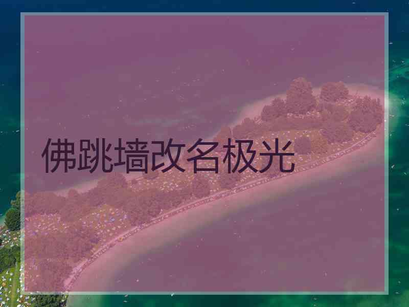 佛跳墙改名极光