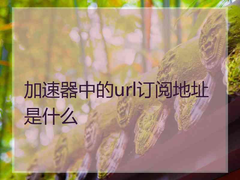 加速器中的url订阅地址是什么
