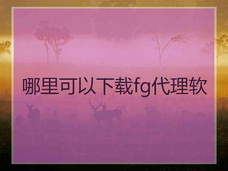 哪里可以下载fg代理软