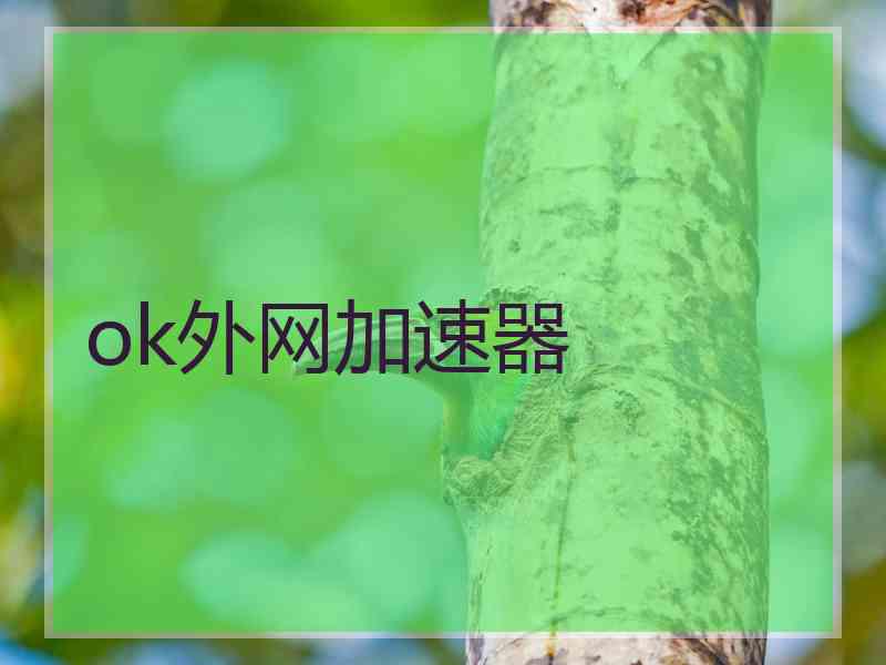ok外网加速器