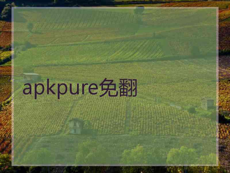 apkpure免翻