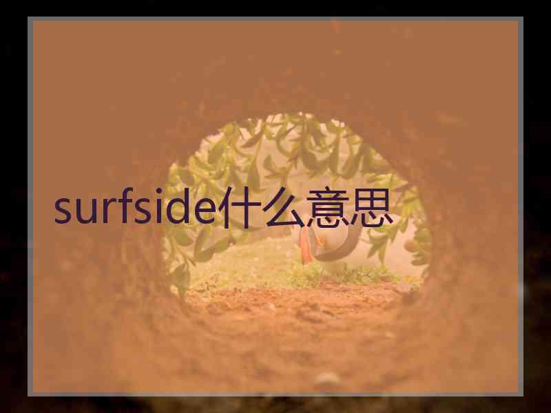 surfside什么意思
