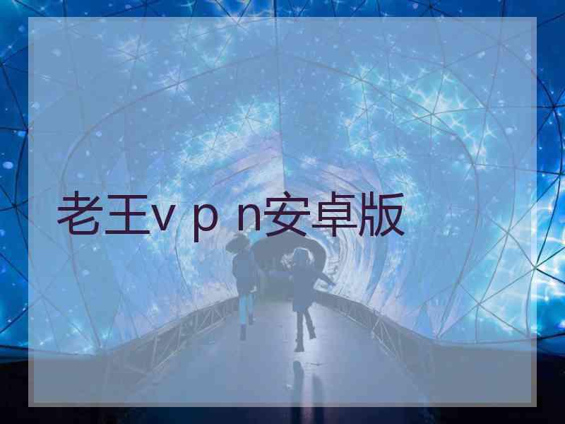 老王v p n安卓版