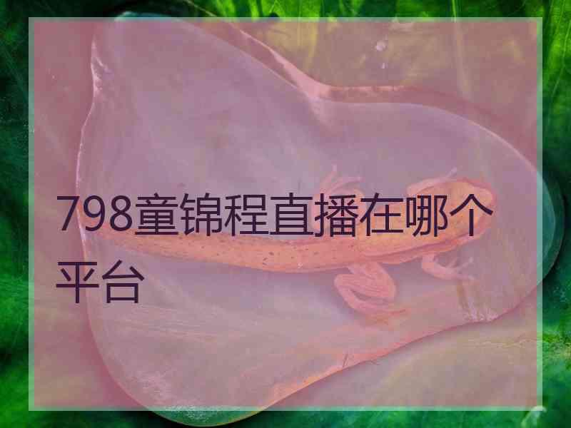 798童锦程直播在哪个平台