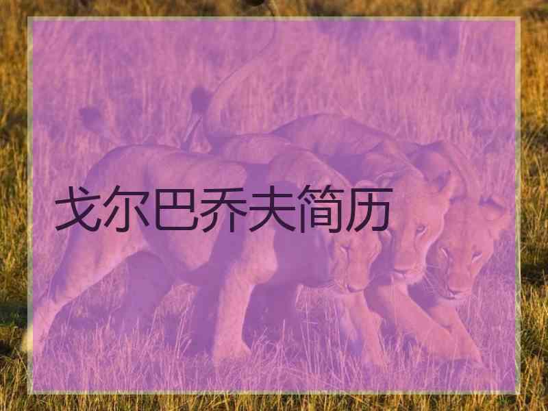 戈尔巴乔夫简历