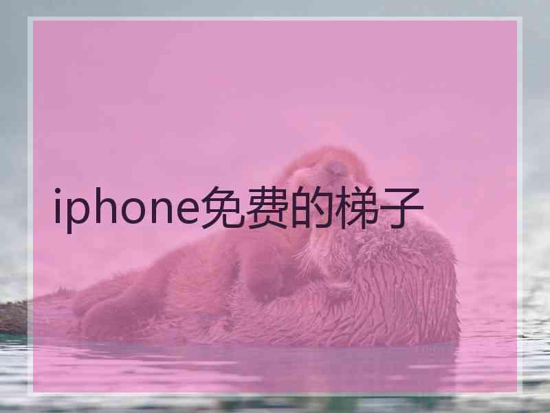 iphone免费的梯子