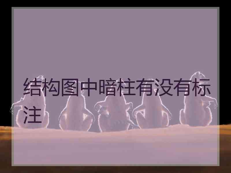 结构图中暗柱有没有标注