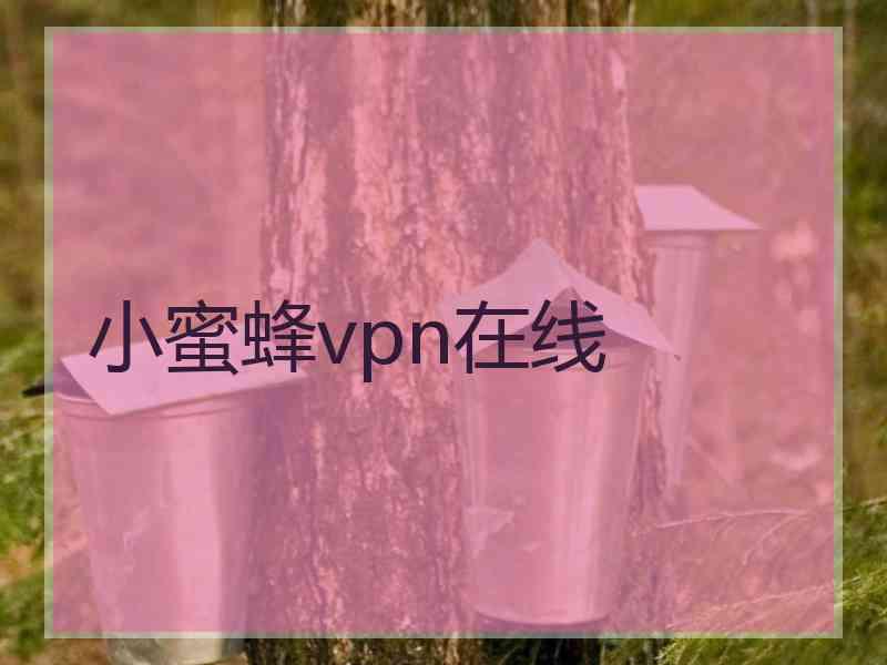小蜜蜂vpn在线