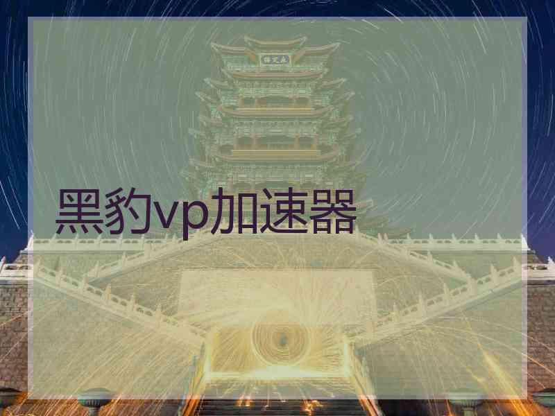 黑豹vp加速器