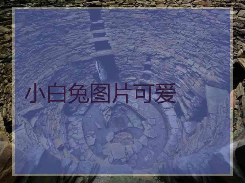 小白兔图片可爱
