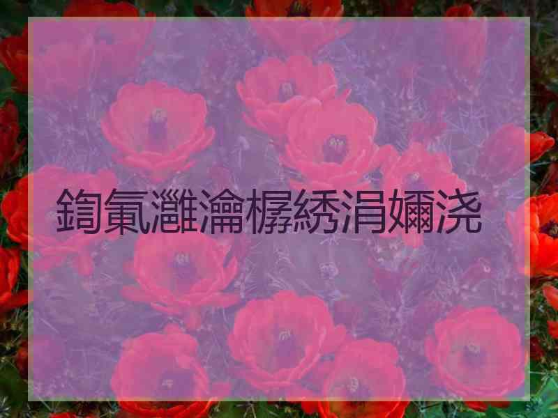 鍧氭灉瀹樼綉涓嬭浇