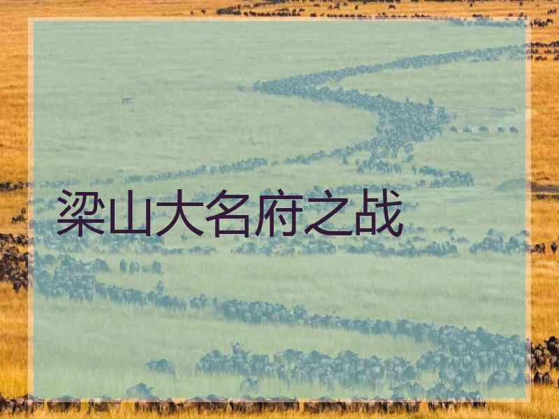 梁山大名府之战