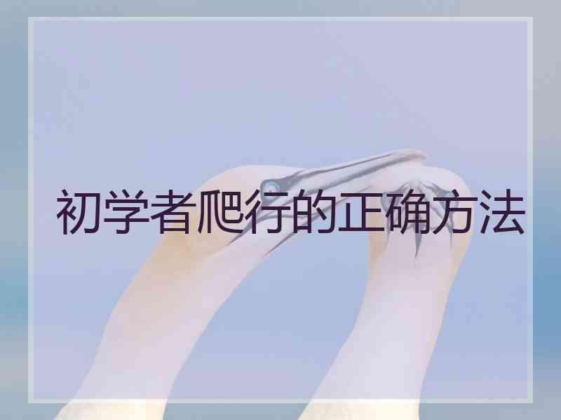 初学者爬行的正确方法