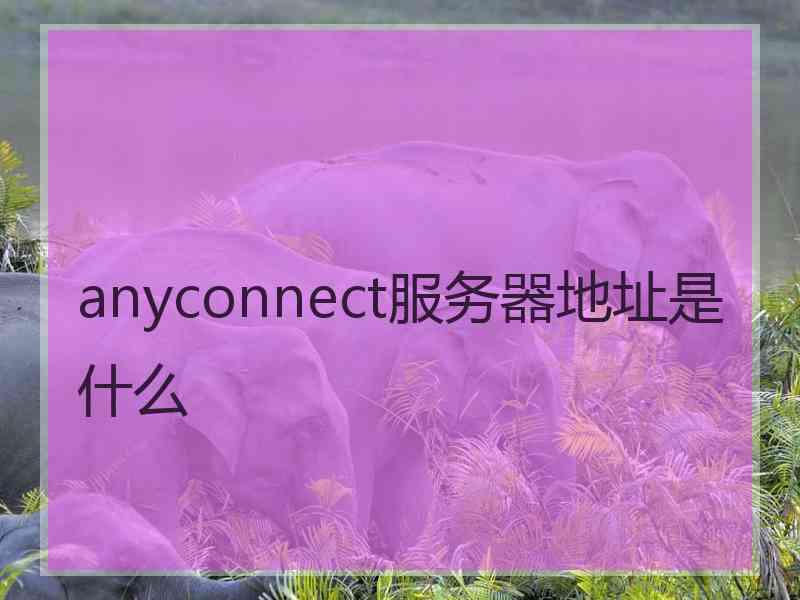 anyconnect服务器地址是什么