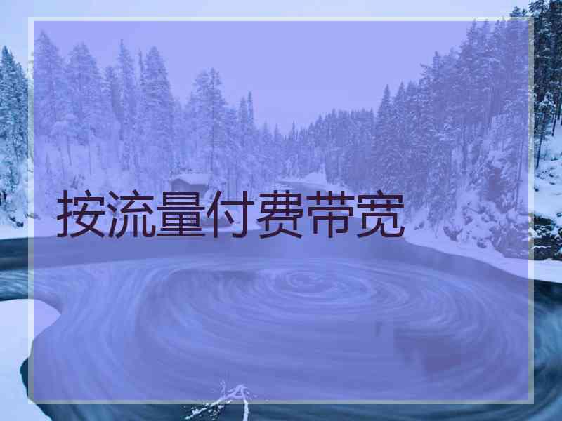 按流量付费带宽