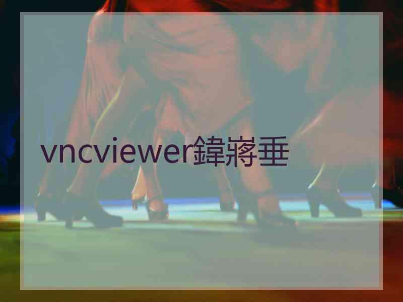 vncviewer鍏嶈垂