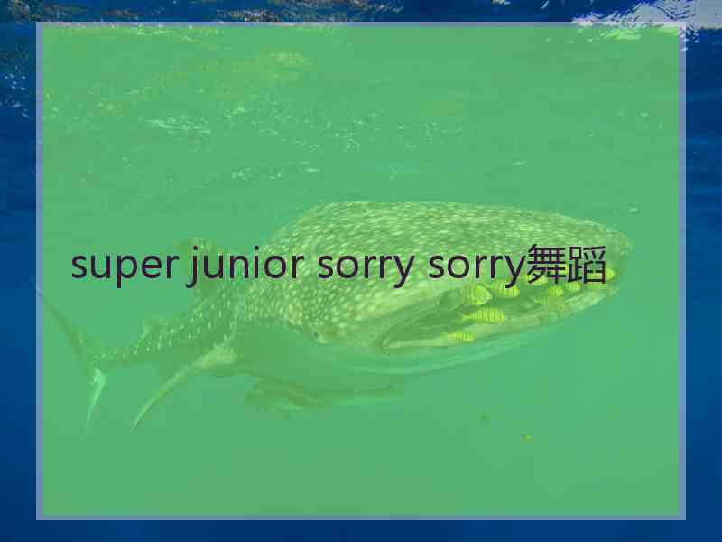 super junior sorry sorry舞蹈