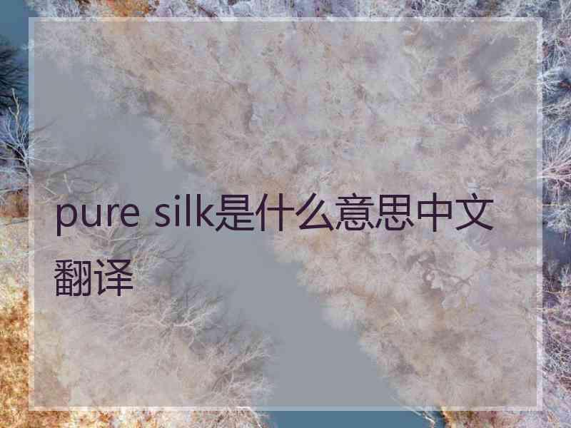 pure silk是什么意思中文翻译