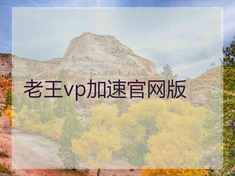 老王vp加速官网版
