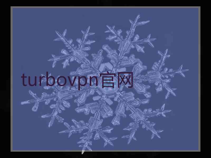 turbovpn官网