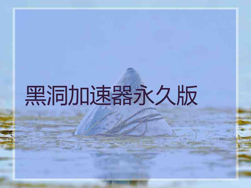 黑洞加速器永久版