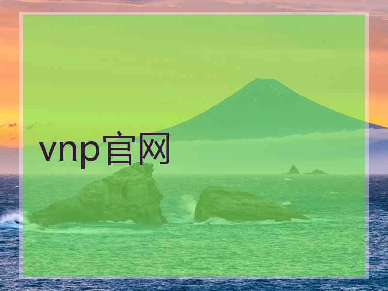 vnp官网