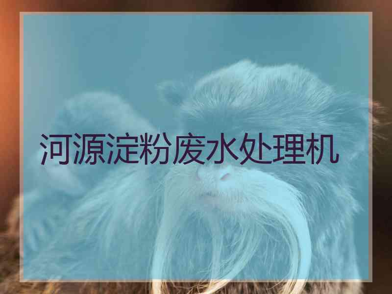 河源淀粉废水处理机