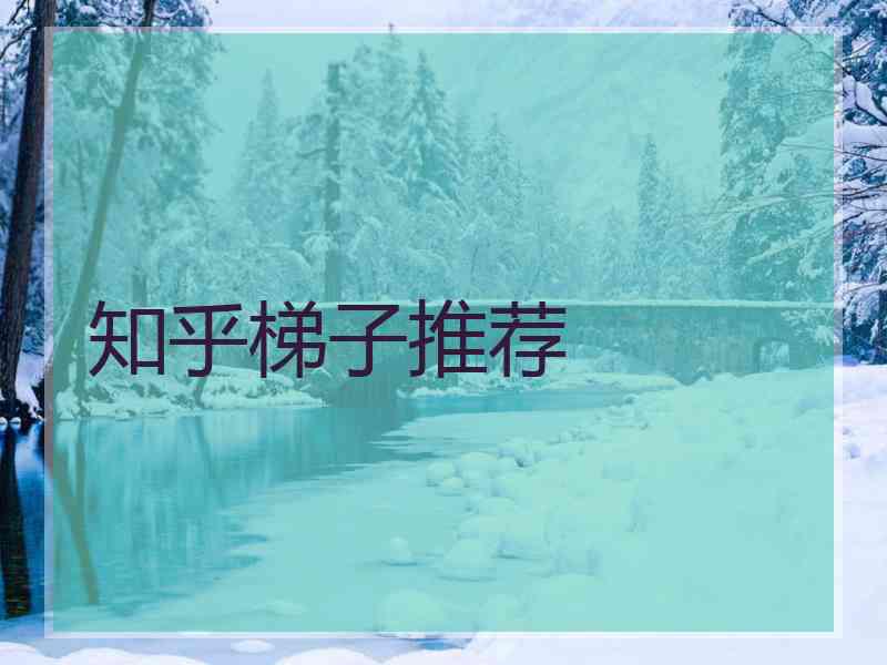 知乎梯子推荐