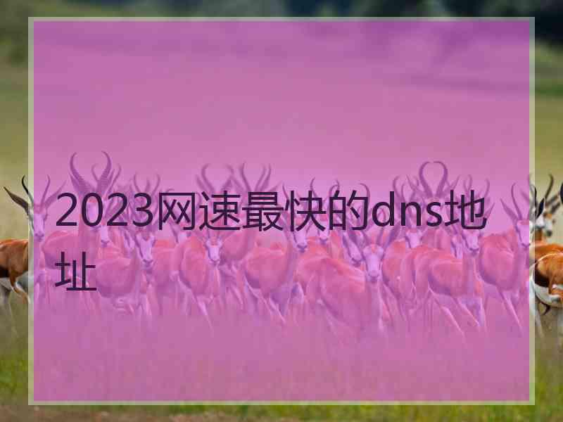 2023网速最快的dns地址