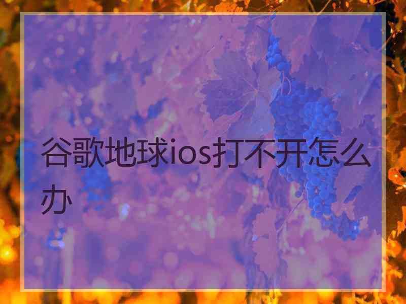 谷歌地球ios打不开怎么办