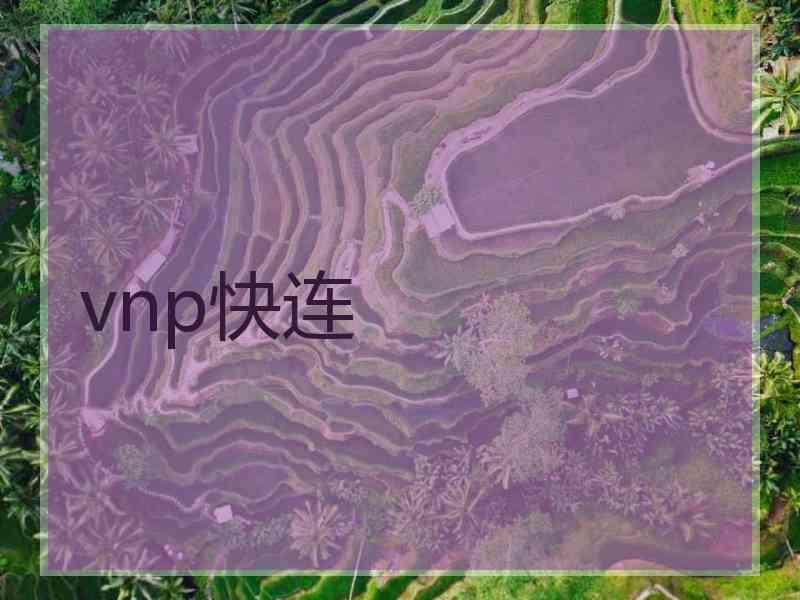 vnp快连